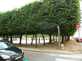  la place d'Alliance